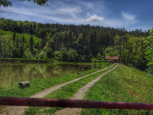 נכס מסחרי אחר בהרים, בפרברים, ביער בבולגריה, אזור Ruse — חיפוש נדל"ן מפרטי ומקבלן GEOLN.COM. תמונה 4