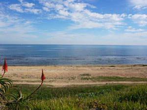 Wohnungen in Spanien, Valencia, Rojales — Immobilien-Suchservice von Bauträgern und Eigentümern GEOLN.COM. Foto 12