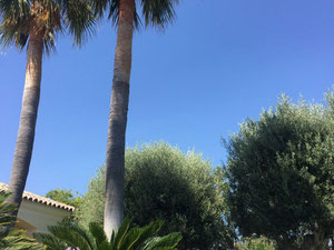 Villa 6 bedrooms 950 m² in Montemayor, Spain — Find off-plan property or real estate resale directly from developers and owners GEOLN.COM. Photo 46