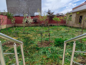 Вілла в Баку — Пошуковик нерухомості від забудовників і власників GEOLN.COM. Фото 3