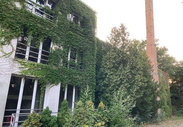 Будинок у польщі