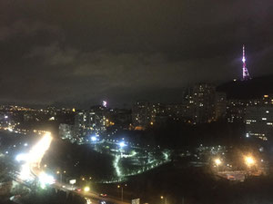 在第比利斯瓦克区查布阿·阿米雷吉比高速公路出售公寓 — 来自开发商和业主的房地产搜索引擎 GEOLN.COM. 照片 13