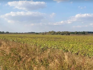 Vendo un terreno para la construcción de una gasolinera o un complejo de carretera. — Encuentre propiedades fuera del plan o reventa de bienes inmuebles directamente de desarrolladores y propietarios GEOLN.COM. Foto 2
