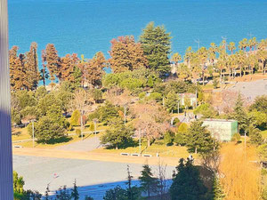 出售巴图米的公寓 — 来自开发商和业主的房地产搜索引擎 GEOLN.COM. 照片 7