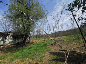 Chokhatauri 的乡间别墅 — 来自开发商和业主的房地产搜索引擎 GEOLN.COM. 照片 5