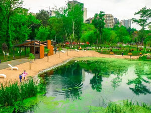 დუპლექსის სტილის ბინა მზიურის პარკთან — უძრავი ქონების ყიდვა და მფლო ბელებისგან GEOLN.COM. ფოტო 11