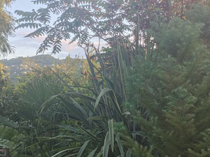 出售巴图米附近的土地 — 来自开发商和业主的房地产搜索引擎 GEOLN.COM. 照片 5