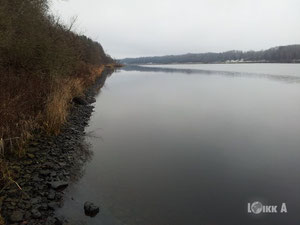 拉脱维亚，Skriveri 地区，Skriveri 出售的地块 — 来自开发商和业主的房地产搜索引擎 GEOLN.COM. 照片 6