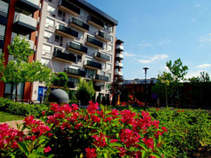 Апартаменты в большом городе в Болгарии, Пловдивская область — Поисковик недвижимости от застройщиков и собственников GEOLN.COM. Фото 5