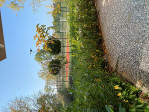 Болгария. Стильно меблированная студия с отдельным двором на Солнечном берегу. — Поисковик недвижимости от застройщиков и собственников GEOLN.COM. Фото 10