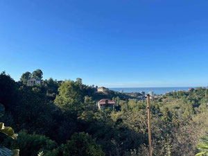 კომერციული მიწა მახინჯაურში — უძრავი ქონების ყიდვა და მფლო ბელებისგან GEOLN.COM. ფოტო 13