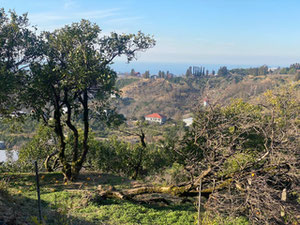 Terreno en la aldea de Dagva — Encuentre propiedades fuera del plan o reventa de bienes inmuebles directamente de desarrolladores y propietarios GEOLN.COM. Foto 3