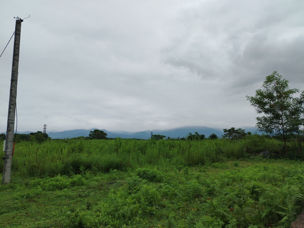 ділянка для забудови — Пошуковик нерухомості від забудовників і власників GEOLN.COM. Фото 1