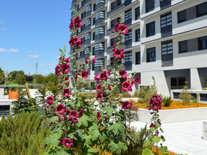 房地产在 Cielo de Villaverde — look at the real estate search engine GEOLN.COM. 照片 5