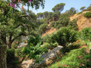 ვილა 5 საძინებელი 423 მ² ბენაჰავისში, ესპანეთი — უძრავი ქონების ყიდვა და მფლო ბელებისგან GEOLN.COM. ფოტო 36