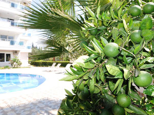 公寓 1 卧室 54 平方米，位于土耳其阿拉尼亚 — 来自开发商和业主的房地产搜索引擎 GEOLN.COM. 照片 28