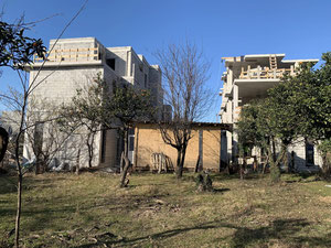 巴统靠近海边的小屋 — 来自开发商和业主的房地产搜索引擎 GEOLN.COM. 照片 7