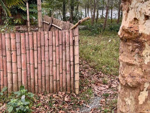 Земельна ділянка на березі річки в Поті — Пошуковик нерухомості від забудовників і власників GEOLN.COM. Фото 6