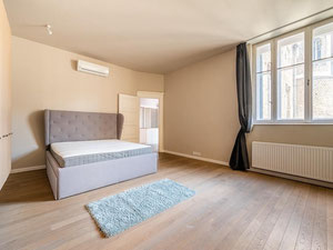 匈牙利。布达佩斯。新装修公寓，144平方米，位于市中心。 — 来自开发商和业主的房地产搜索引擎 GEOLN.COM. 照片 8