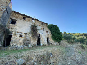 მონაკოს სიახლოვეს, დიდი მიწა — უძრავი ქონების ყიდვა და მფლო ბელებისგან GEOLN.COM. ფოტო 4