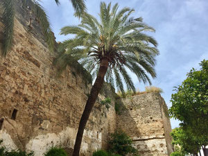 公寓 2 间卧室 149 m² 在 Centro, 西班牙 — 来自开发商和业主的房地产搜索引擎 GEOLN.COM. 照片 4