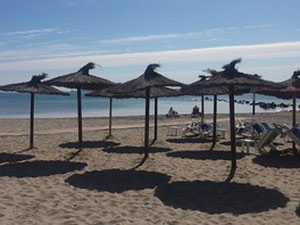 Apartment 2 bedrooms 78 m² in Los Narejos, Spain — Find off-plan property or real estate resale directly from developers and owners GEOLN.COM. Photo 10