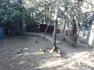 Private house in Nadzaladevi. Buy a house in Tbilisi, Nadzaladevi — Find off-plan property or real estate resale directly from developers and owners GEOLN.COM. Photo 7