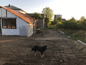 巴统土地出售 — 来自开发商和业主的房地产搜索引擎 GEOLN.COM. 照片 8