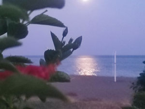 Mersin — Encuentre propiedades fuera del plan o reventa de bienes inmuebles directamente de desarrolladores y propietarios GEOLN.COM. Foto 4