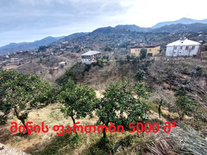 出售带土地的私人住宅 — 来自开发商和业主的房地产搜索引擎 GEOLN.COM. 照片 24