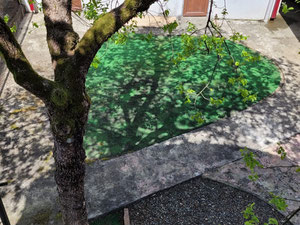 Продам будинок з ділянкою поруч з морем — Пошуковик нерухомості від забудовників і власників GEOLN.COM. Фото 17