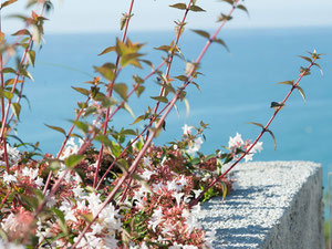 公寓 2 卧室 182 m² 在托雷克布拉达, 西班牙 — 来自开发商和业主的房地产搜索引擎 GEOLN.COM. 照片 20