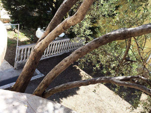 בית ליד הים במונטנגרו, בר, שושן — חיפוש נדל"ן מפרטי ומקבלן GEOLN.COM. תמונה 2