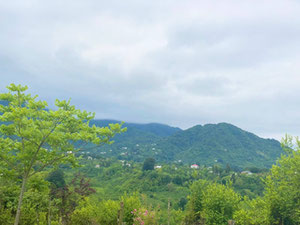 Продається будинок в Легва — Пошуковик нерухомості від забудовників і власників GEOLN.COM. Фото 5