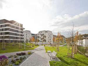 içindeki mülkiyet Rezidence Waltrovka — emlak arama motoru GEOLN.COM'a bakın. Fotoğraf 8