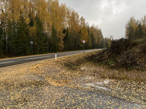 Ziemia przy jeziorze — Wyszukiwarka nieruchomości od deweloperów i właścicieli GEOLN.COM. Zdjęcie 8