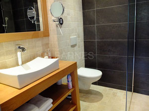 城堡在法国，奥弗涅，艺术河畔 Forment — 来自开发商和业主的房地产搜索引擎 GEOLN.COM. 照片 13