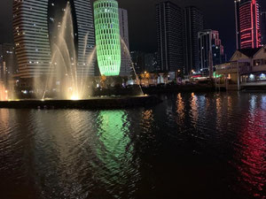 出售 Alliance Palace 的公寓 — 来自开发商和业主的房地产搜索引擎 GEOLN.COM. 照片 12