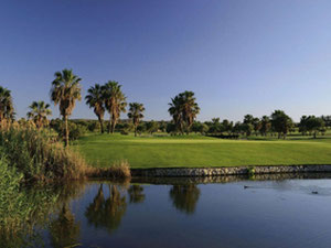 Villa in Spain, Valencia, Algorfa — Find off-plan property or real estate resale directly from developers and owners GEOLN.COM. Photo 9