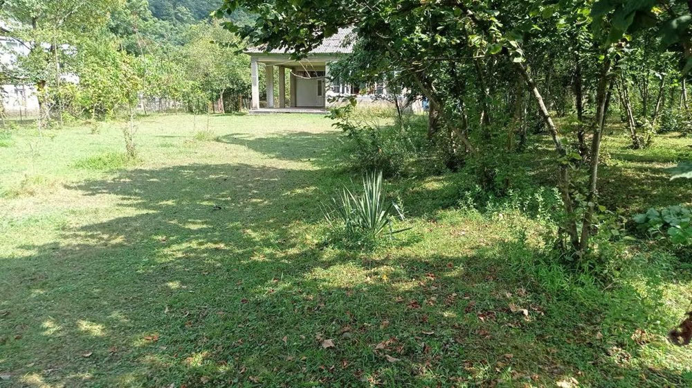 Ділянка землі на продаж у селі Ліхаурі — Пошуковик нерухомості від забудовників і власників GEOLN.COM. Фото 1