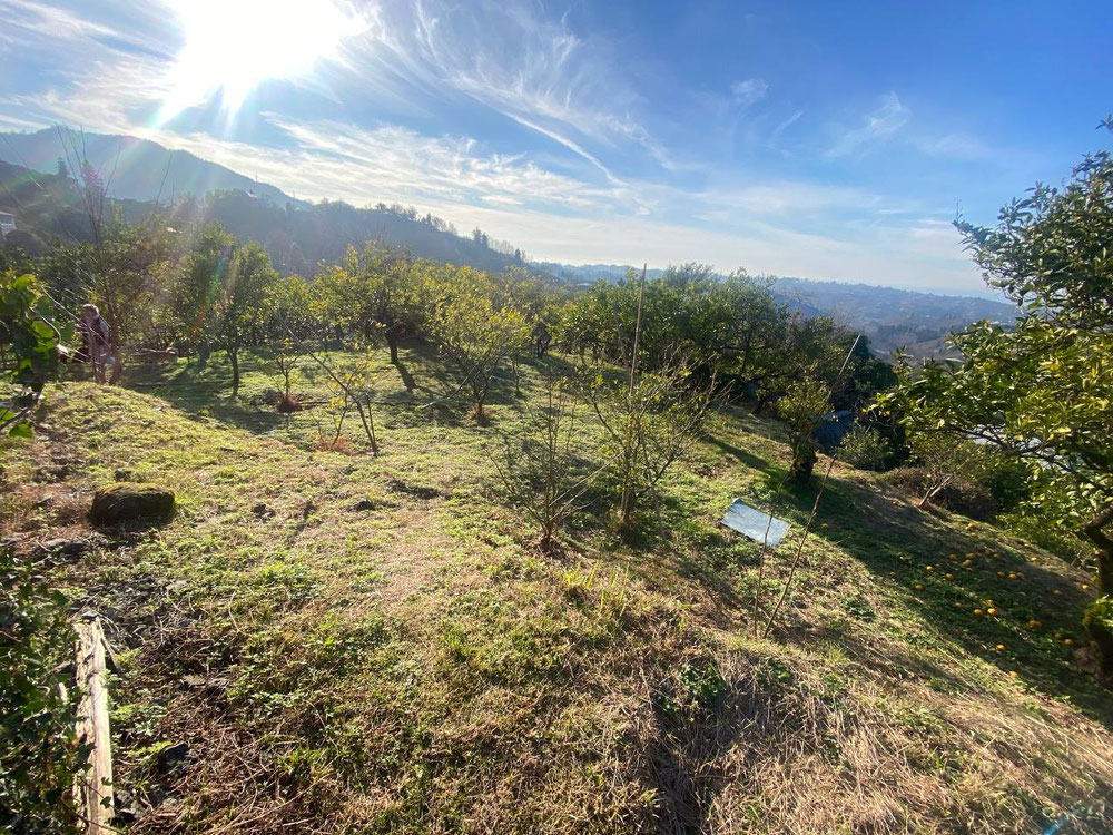 Terreno en la aldea de Dagva — Encuentre propiedades fuera del plan o reventa de bienes inmuebles directamente de desarrolladores y propietarios GEOLN.COM. Foto 1
