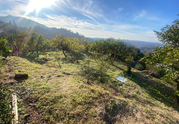 Land plot in the village of Dagva