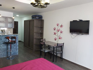 1-room apartment for sale — Find off-plan property or real estate resale directly from developers and owners GEOLN.COM. Photo 3