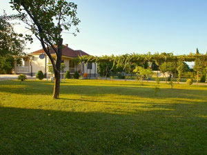 房子在黑山，波德戈里察，米特罗维察 — 来自开发商和业主的房地产搜索引擎 GEOLN.COM. 照片 2