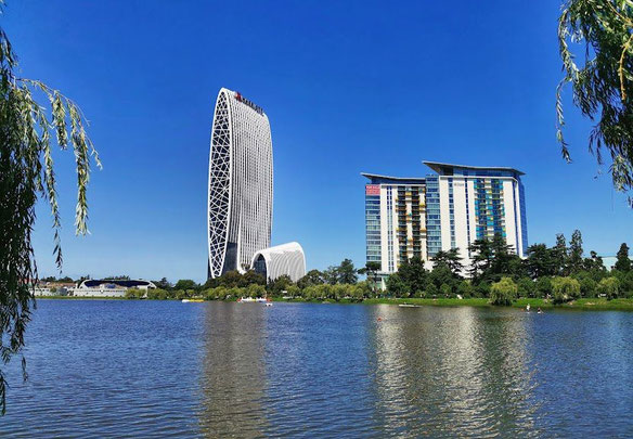 იყიდება ბინა Alliance Privilege-ში