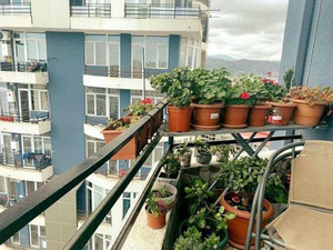 3房出售 — 来自开发商和业主的房地产搜索引擎 GEOLN.COM. 照片 8