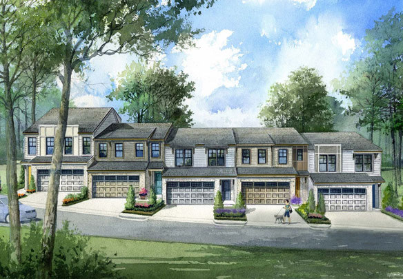 The Collection at Wolf Creek