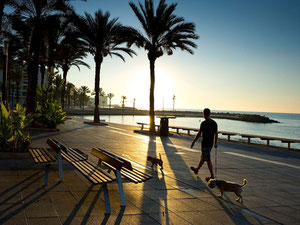 ბინა 2 ოთახიანი 76 მ² პუნტა პრიმაში, ესპანეთი — უძრავი ქონების ყიდვა და მფლო ბელებისგან GEOLN.COM. ფოტო 18