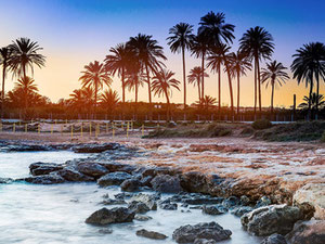 Апартаменти 2 спальні 90 м² у Ломас-де-Кампоаморі, Іспанія — Пошуковик нерухомості від забудовників і власників GEOLN.COM. Фото 29