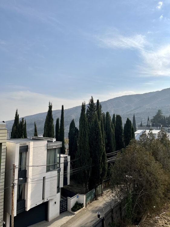 Видова Квартира Бізнес-класу центр Тбілісі — Пошуковик нерухомості від забудовників і власників GEOLN.COM. Фото 1